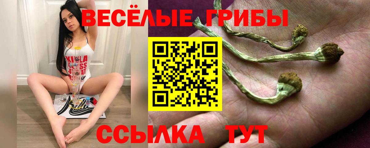 Галлюциногенные грибы Magic Shrooms  Вход с VPN  закладки  Псилоцибиновые грибы мицелий  Клинцы 